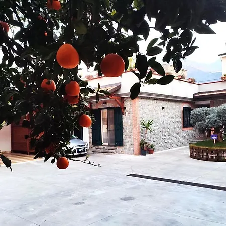 Midway House Italy 3*